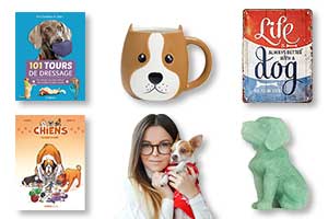 23 idées cadeaux à offrir à un propriétaire de chiens