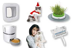 La top liste des cadeaux à offrir à son chat