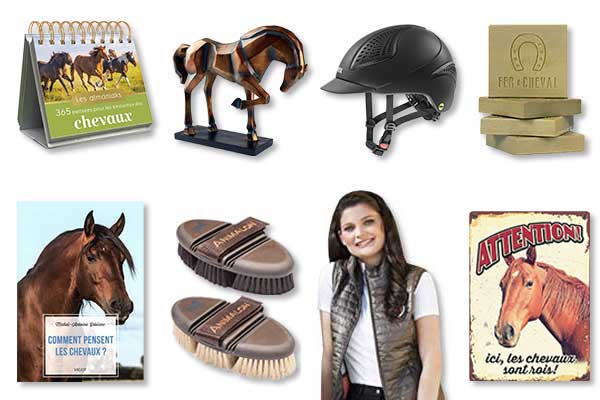 Les 17 cadeaux d’équitation pour amoureux de chevaux