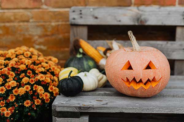 Les traditions et cadeaux pour Halloween en France