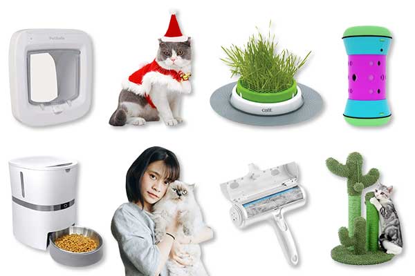 La top liste des cadeaux à offrir à son chat