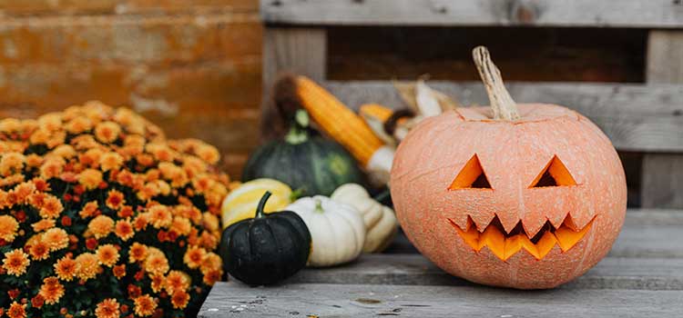 Halloween: les meilleures traditions