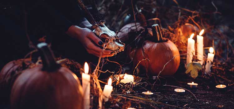 Tout savoir sur Halloween