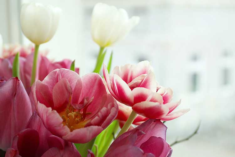 Un bouquet de fleurs rappelle le jour des noces aux époux et participe à la décoration de la maison