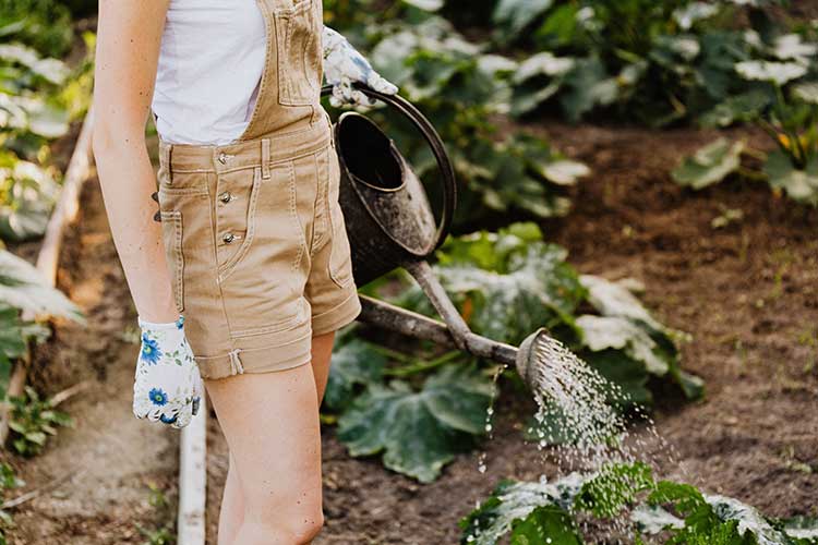 Bienvenu dans le monde de la nature et des végétaux