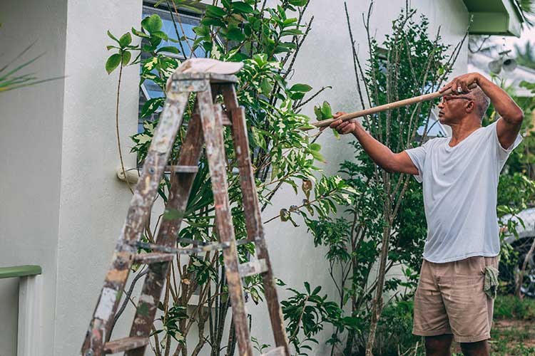 Les papis adorent le bricolage et le jardinage pour optimiser leur jardin