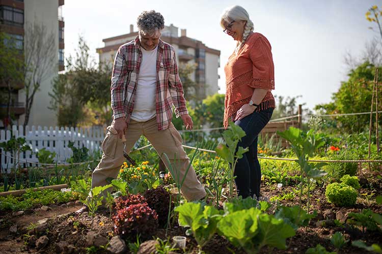 Les parents écolos prennent soin de leur environnement