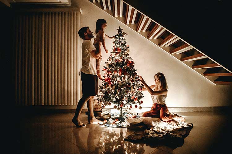 Pas facile de choisir le bon sapin de Noël, beau et écolo