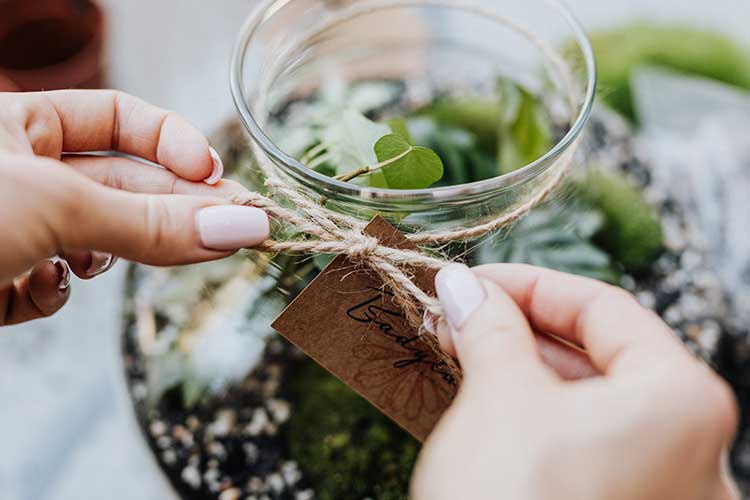 Le terrarium, un super cadeau fait maison à offrir à ses proches