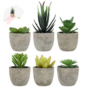 6 Pcs Mini Succulentes Fausse Plante Interieur, Petites Fausses Plantes Plante, Plante Vue en Pot