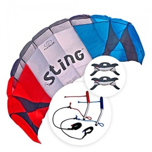 FLEXIFOIL Pour adultes 2.4m, Adolescents Sting Cerf-volant de Traction. Cerfs-volants de plage en