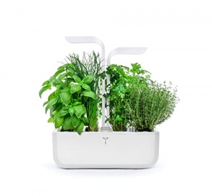 Véritable® Classic (Blanc) - - 98.27 &#8364;