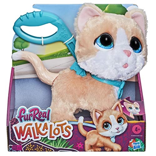 Chaton à promener