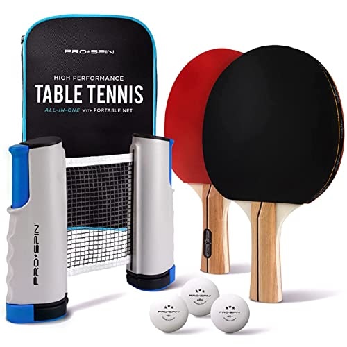 Ping-pong portable