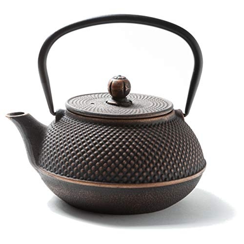 Une théière japonaise en fonte